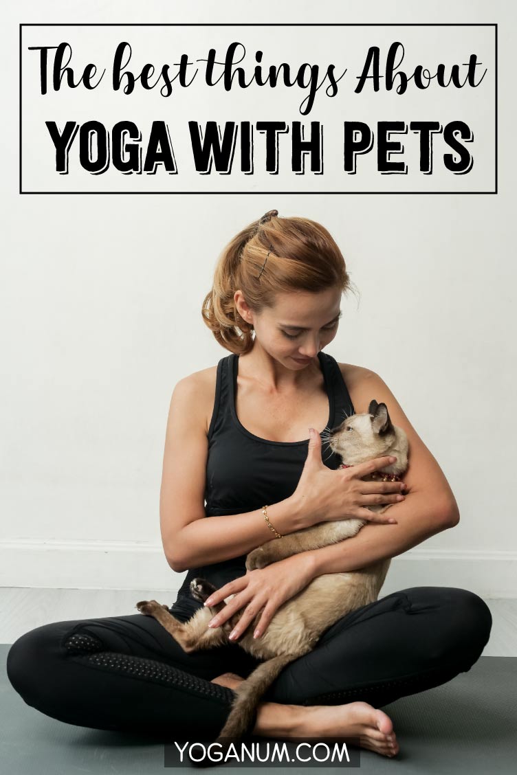 The best things about yoga with pets